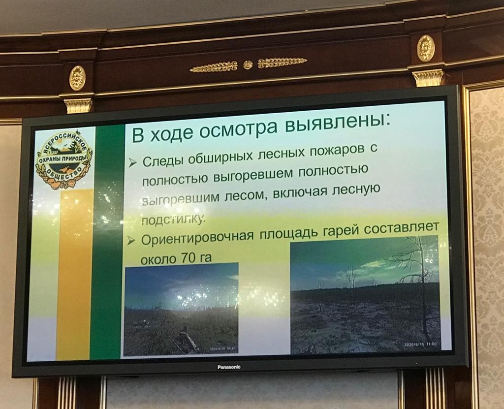 Наталья Калягина приняла участие в заседании экологического совета при Губернаторе Ленобласти