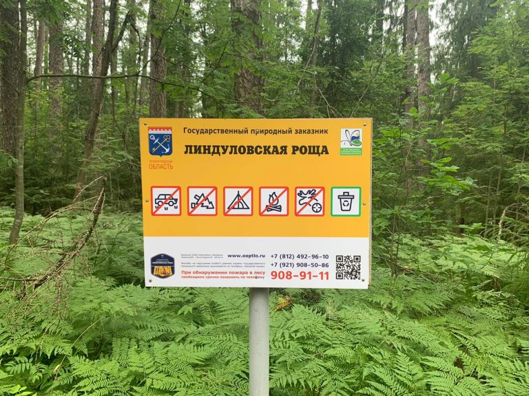 Представители ВООП приняли участие в выездном заседании комитета по природным ресурсам Ленинградской области