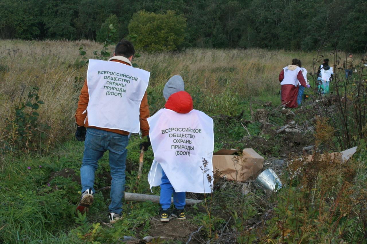 Волонтеры ВООП высадили 18 тыс. саженцев ели в рамках акции "Сохраним лес"