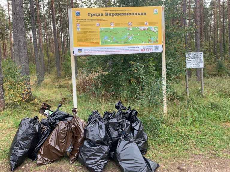 Более 2 тонн мусора собрали волонтеры ВООП во время уборки территории ООПТ "Гряда Вярямянселькя"