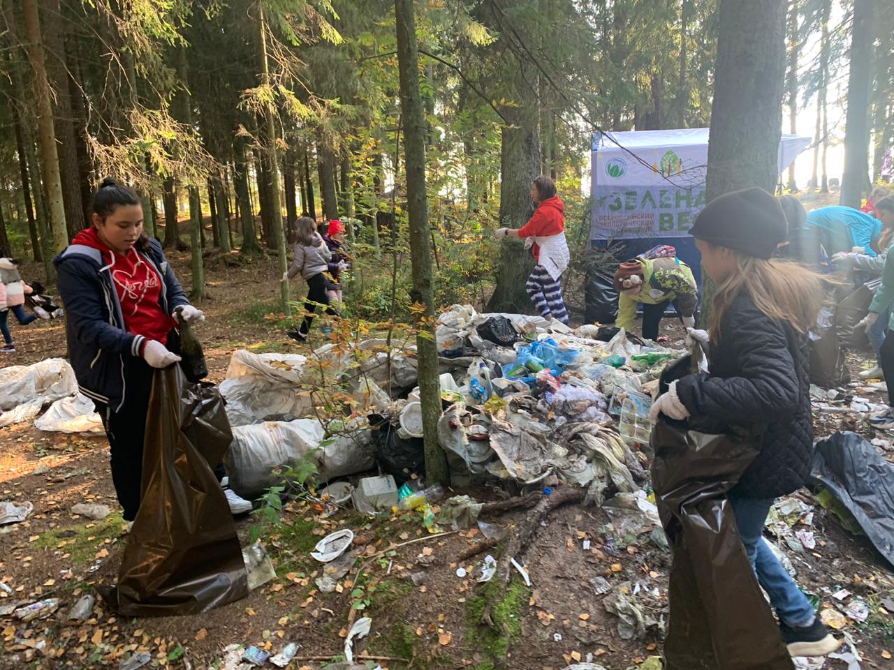 Школьники из 91 школы Санкт-Петербурга собрали 4 тонны мусора в заказнике "Котельский"
