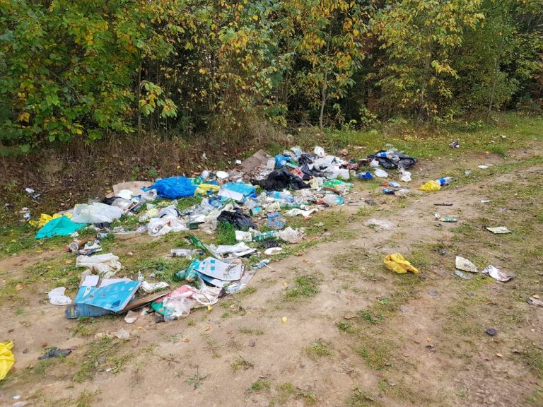 Эковолонтеры ВООП убрали мусор на территории протяженностью более 3 километров в заказнике "Север Мшинского болота"
