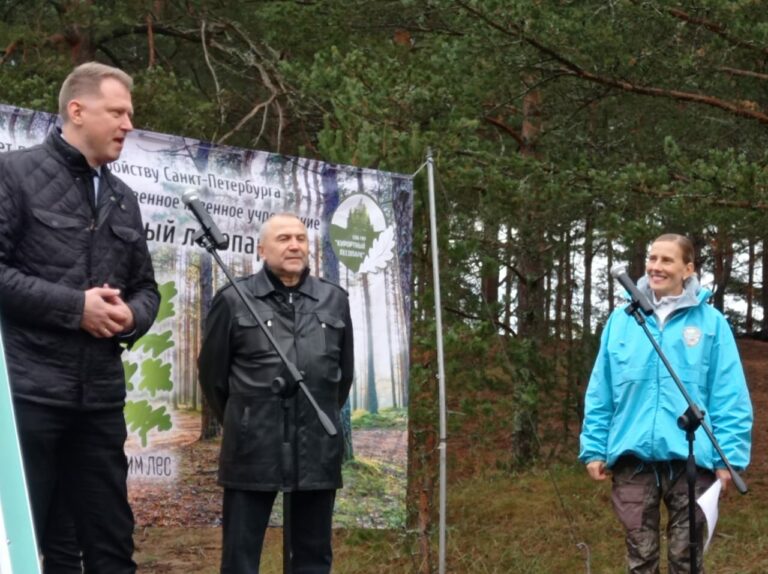 Участники акции "Сохраним лес" высадили 40 молодых сосен на территории "Сестрорецкого рубежа"