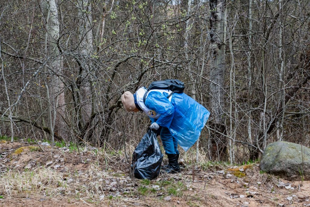 Убрали мусор и высадили деревья: при участии ВООП по Санкт-Петербургу и Ленобласти состоялись три субботника