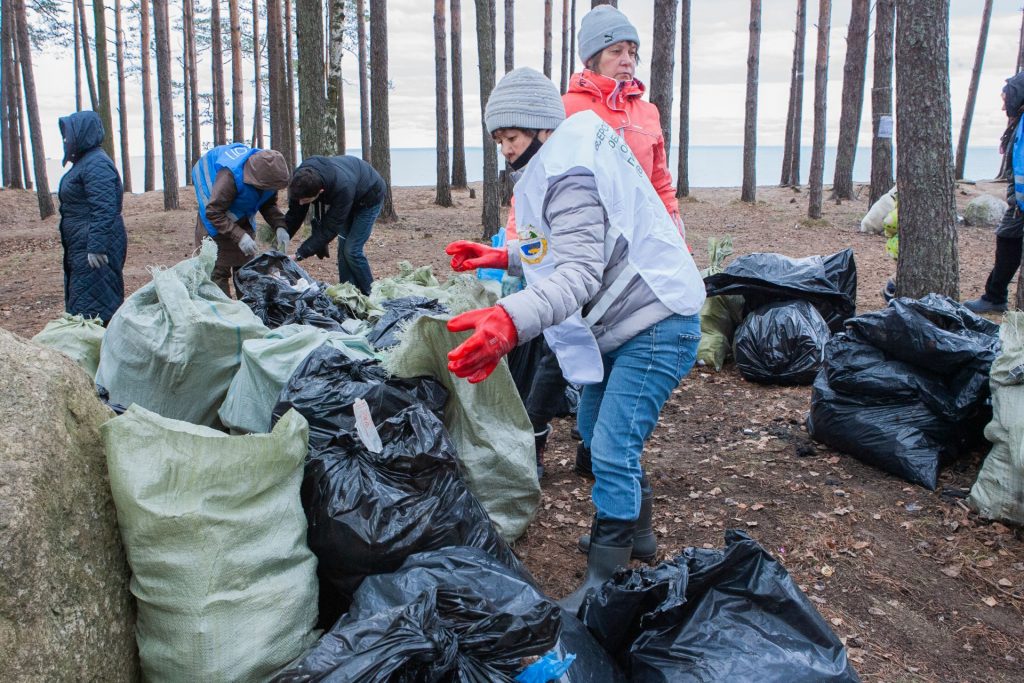 Убрали мусор и высадили деревья: при участии ВООП по Санкт-Петербургу и Ленобласти состоялись три субботника