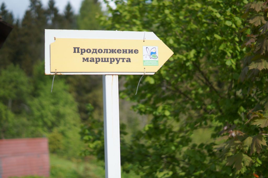 «Радоновые озера»: в Ленинградской области открыли уникальный маршрут для отдыхающих