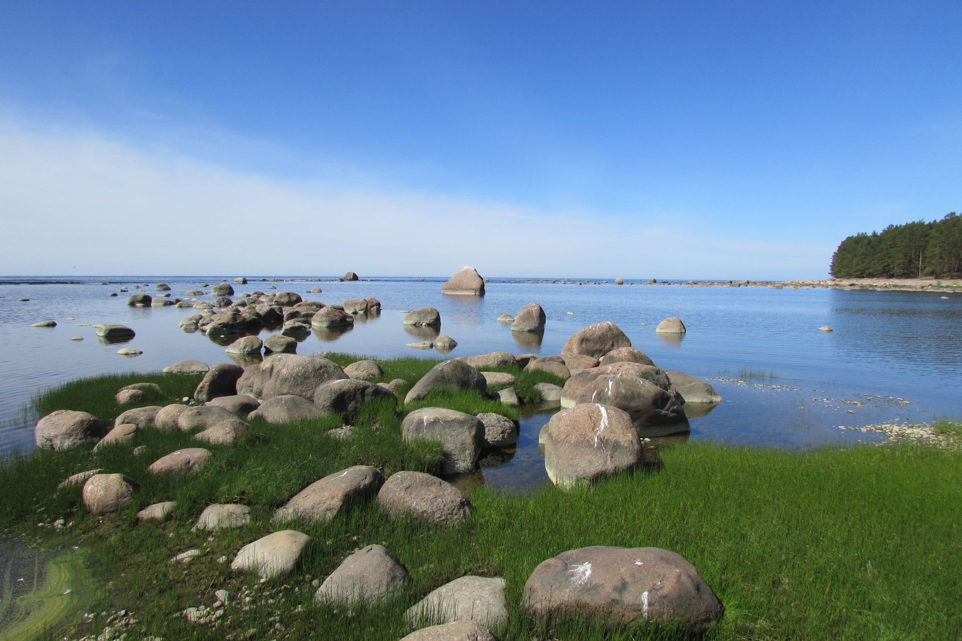 Мелководье финского залива