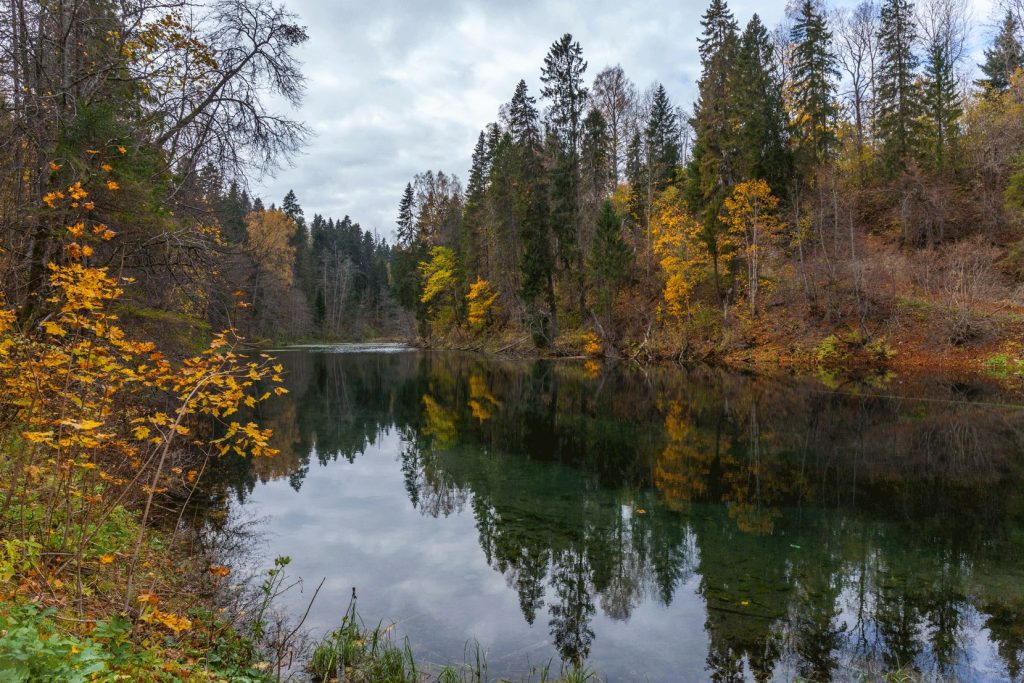 В Ленинградской области  открывается уникальный  маршрут «Радоновые озера»