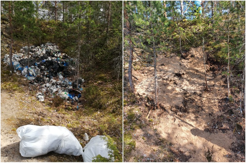 5,5 тонн мусора собрали в Выборгском заказнике волонтеры в рамках акции «ГЕН УБОРКИ»