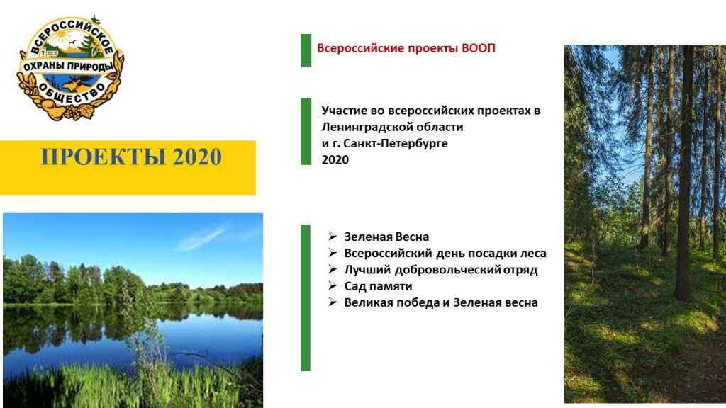 Презентация «Проекты 2020»