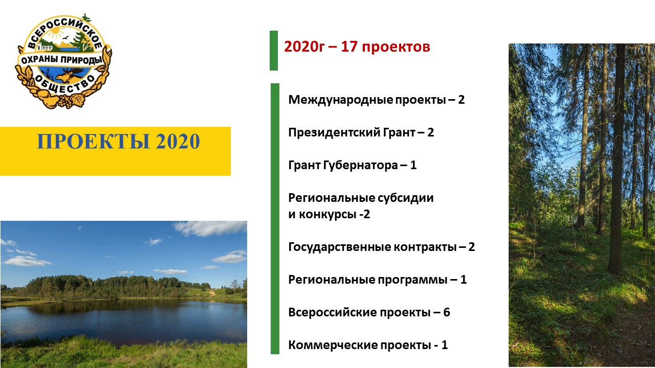 На заре 2020 проект