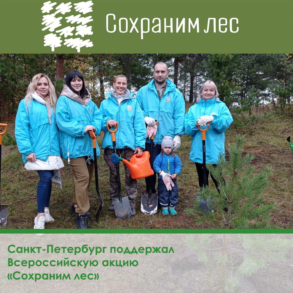 Всероссийская акция «Сохраним лес»: справка