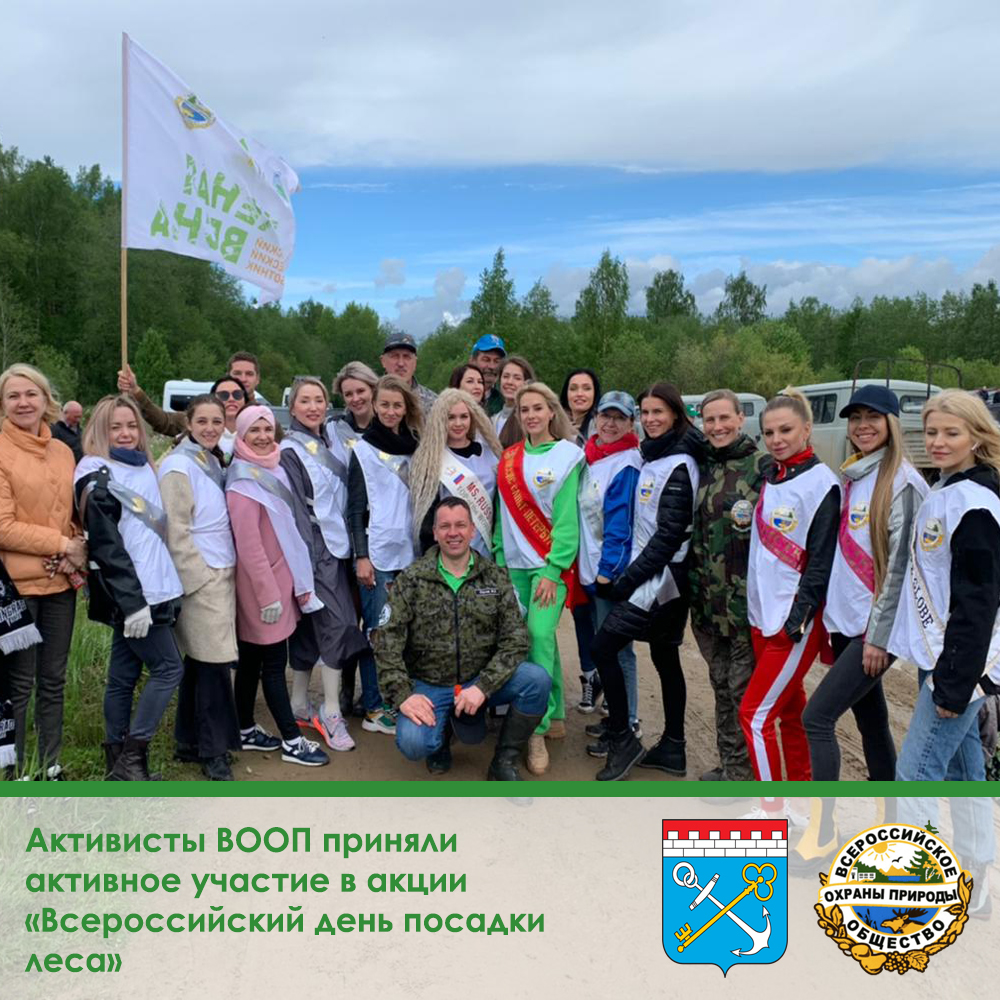 Активисты ВООП приняли активное участие в акции  «Всероссийский день посадки  леса»