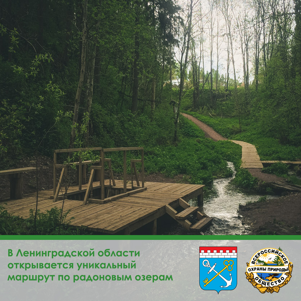 В Ленинградской области  открывается уникальный  маршрут «Радоновые озера»