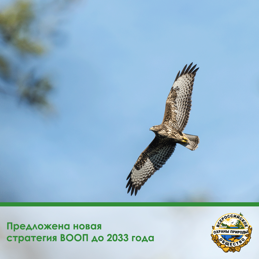 «Зеленое время»: предложена новая стратегия ВООП до 2033 года «Зеленое время»: предложена новая стратегия ВООП до 2033 года