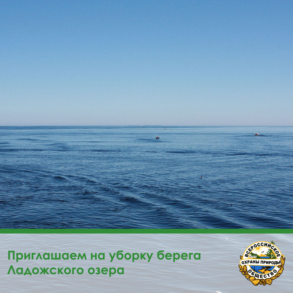 «Чистые Берега Евразии»: приглашаем на уборку берега Ладожского озера!