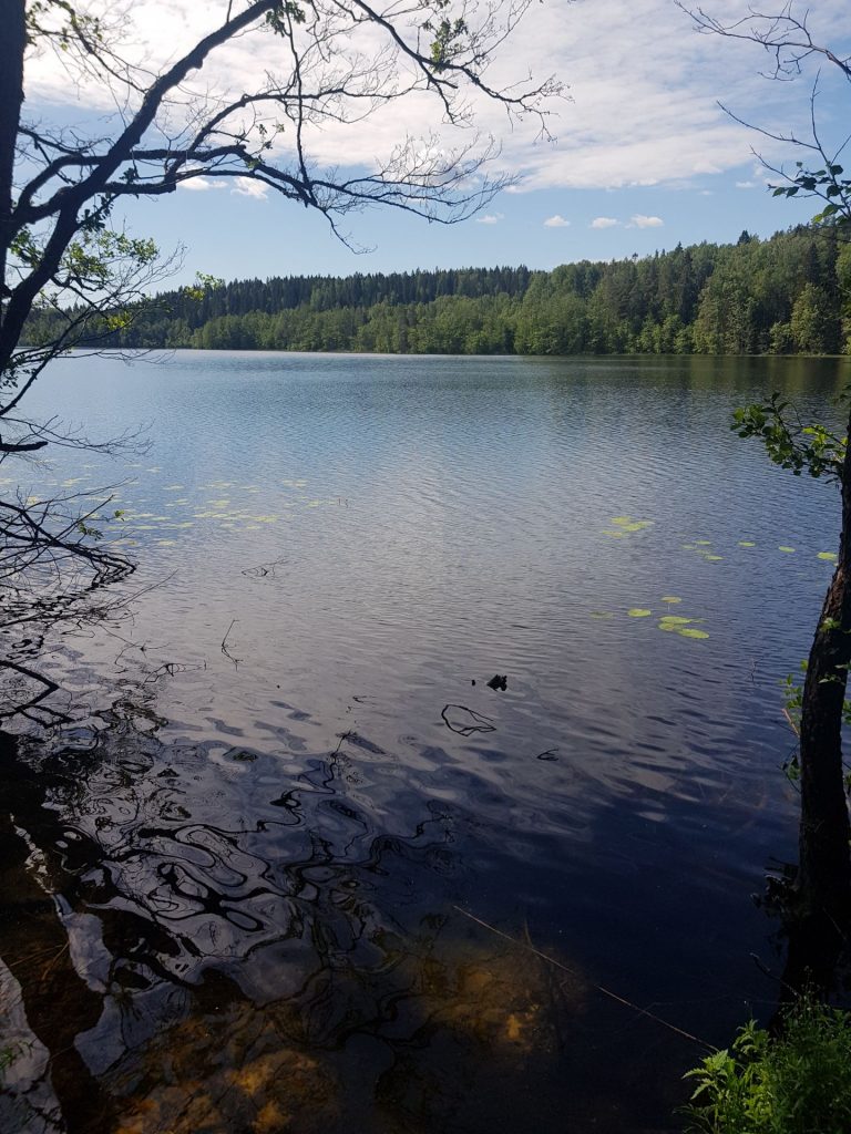 К Анисимовским озерам проложат туристический маршрут