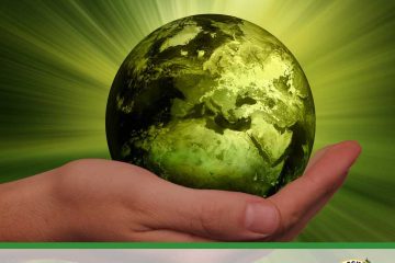 5 июня – Всемирный день окружающей среды и День эколога России