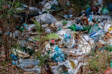 150 волонтеров и 5 тонн мусора: ВООП провело масштабную уборку на берегу Ладожского озера