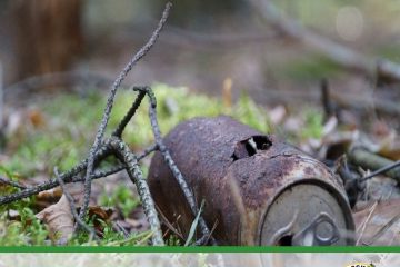 «Чистые Берега Евразии»: 5 июня едем в заказник «Коккоревский» на Ладожское озеро