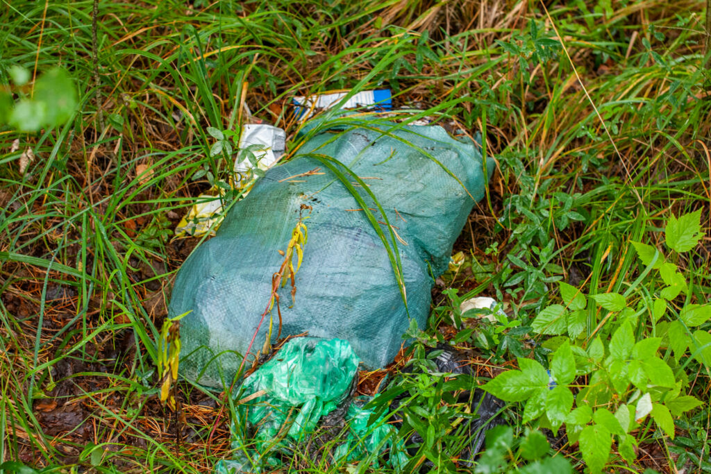 100 мешков мусора собрали волонтеры под ливнем в заказнике «Север Мшинского болота»