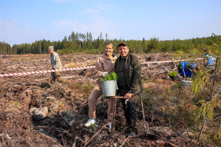 «Сохраним лес»: ВООП высадило саженцы совместно с губернатором Ленобласти