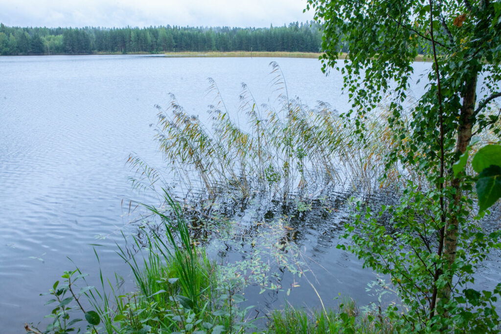 В Ленинградской области откроют туристический маршрут по озерам необычного цвета