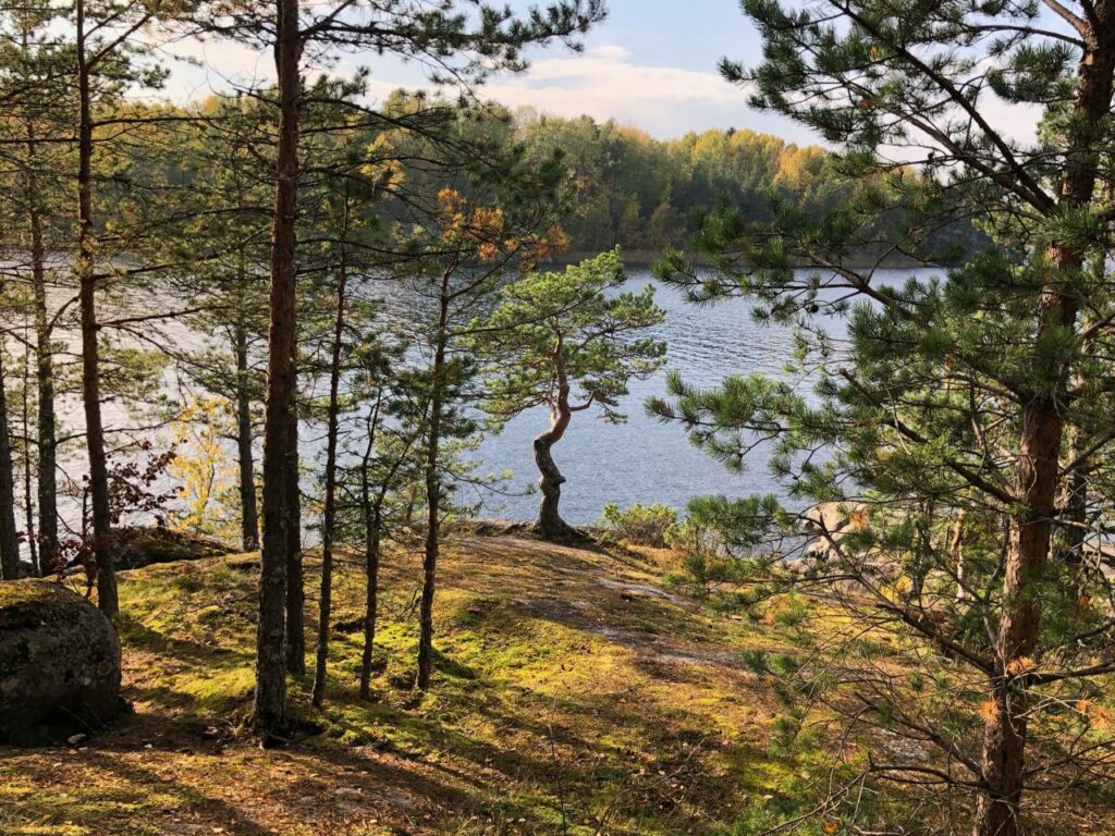 Карельский перешеек: три дня на побег»: в Ленинградской области стартовал трехдневный инспекшн-тур
