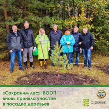 «Сохраним лес»: ВООП  вновь приняло участие  в посадке деревьев
