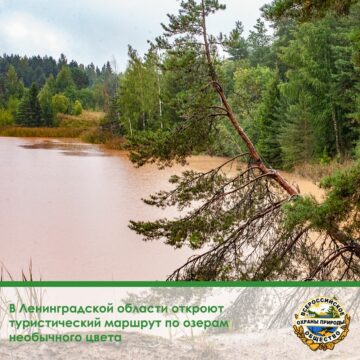 В Ленинградской области откроют туристический маршрут по озерам необычного цвета