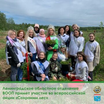 Ленинградское областное отделение ВООП примет участие в акции «Сохраним лес»