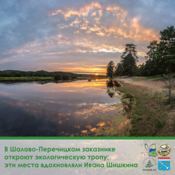 В Шалово-Перечицком заказнике откроют экологическую тропу: эти места вдохновляли Ивана Шишкина