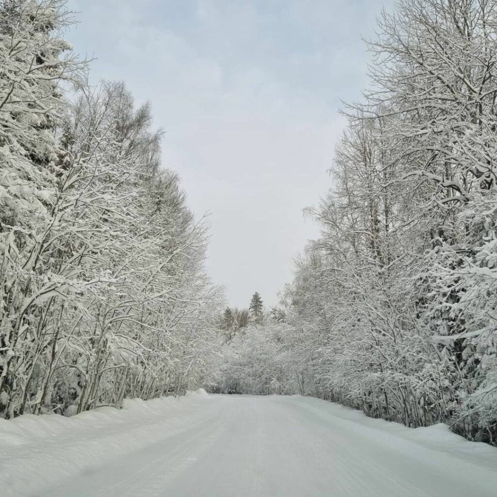 Зимняя сказка в Природном парке «Вепсский лес»