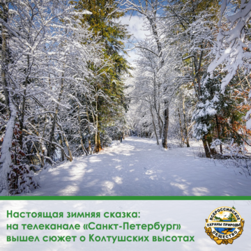 Настоящая зимняя сказка: на телеканале «Санкт-Петербург» вышел сюжет о Колтушских высотах