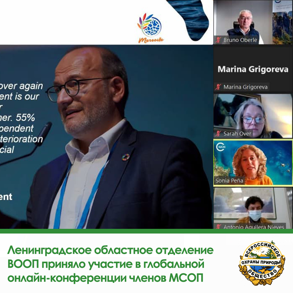 Ленинградское областное отделение ВООП приняло участие в глобальной  онлайн-конференции членов Международного союза охраны природы (МСОП