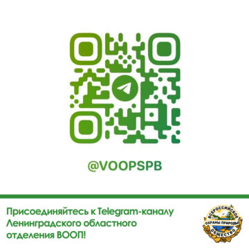 Присоединяйтесь к Telegram-каналу Ленинградского областного отделения ВООП!