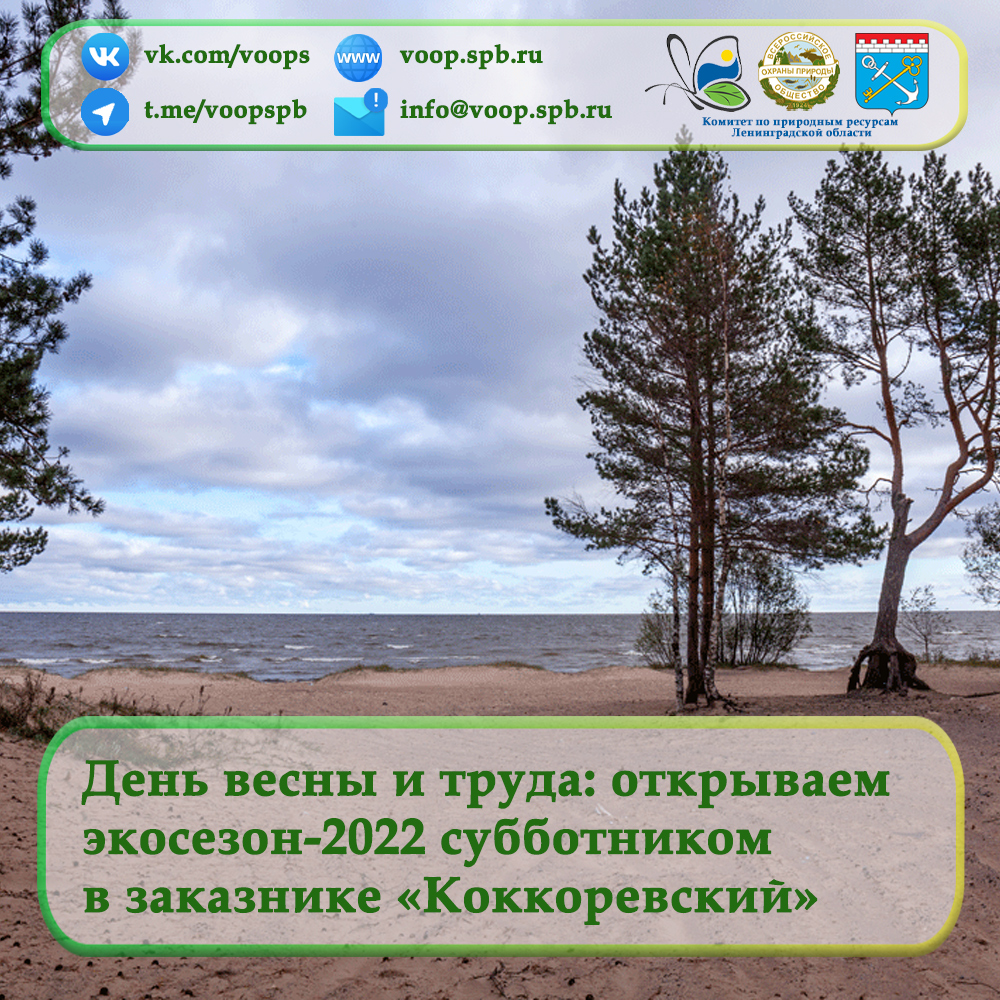 Открываем волонтерский экологический сезон-2022 субботником в заказнике «Коккоревский»