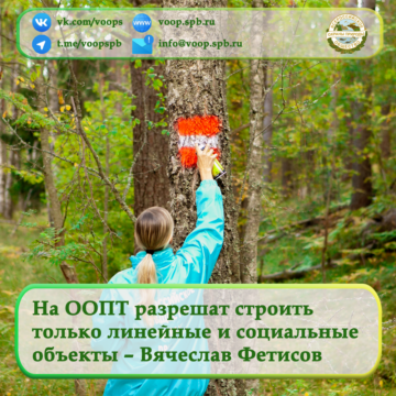 На ООПТ разрешат строить только линейные и социальные объекты – председатель ВООП Вячеслав Фетисов