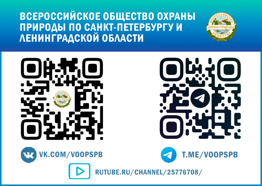 Началась работа по созданию  многодневного маршрута  «Оредежское кольцо»