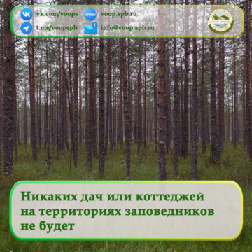 Никаких дач или коттеджей на территориях заповедников не будет