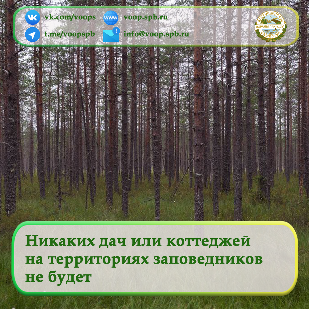 Никаких дач или коттеджей на территориях заповедников не будет