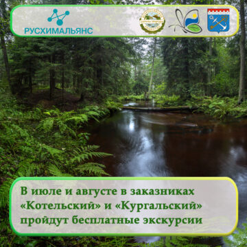 В июле и августе в заказниках «Котельский» и «Кургальский»  пройдут бесплатные экскурсии