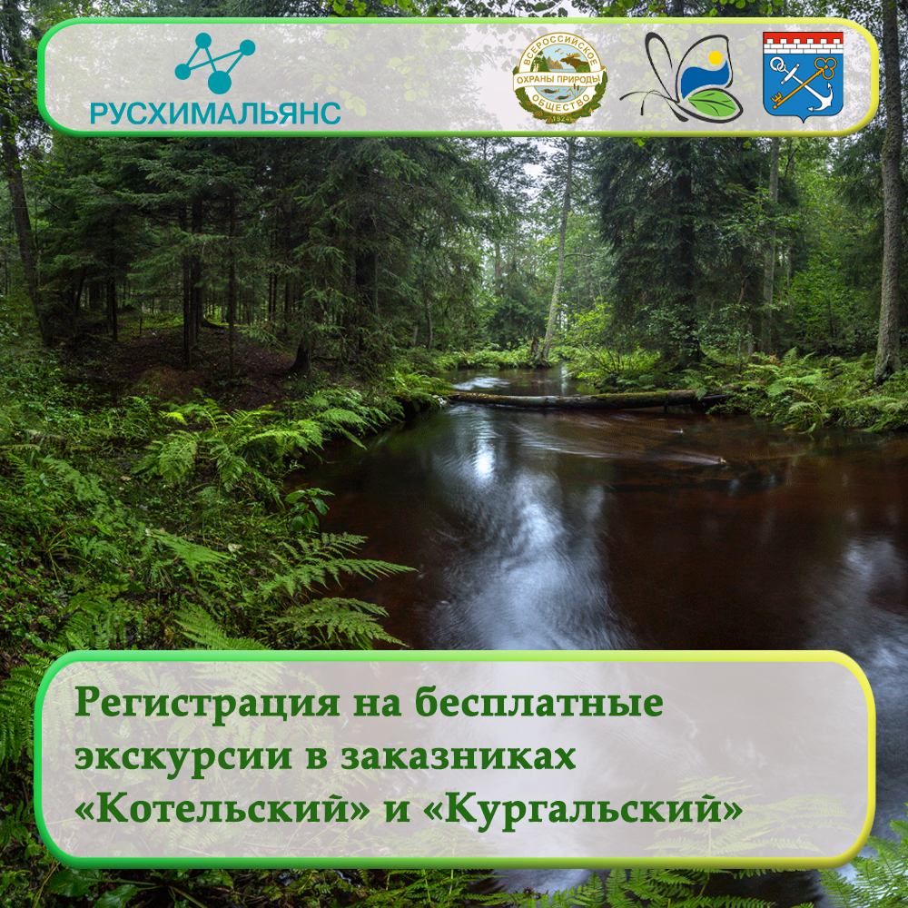 Регистрация на бесплатные экскурсии в заказниках «Котельский» и «Кургальский»