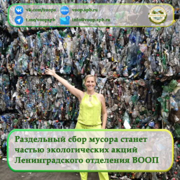 Раздельный сбор мусора станет  частью экологических акций  Ленинградского отделения ВООП