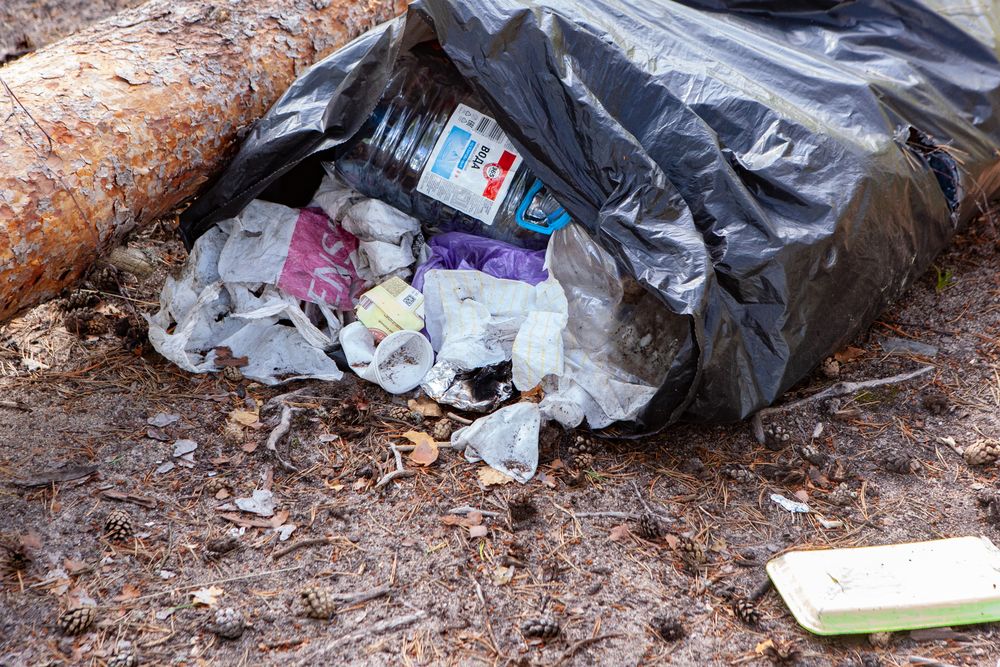 21 мешок мусора собрали волонтеры в рамках экологической акции на территории заказника «Лебяжий»