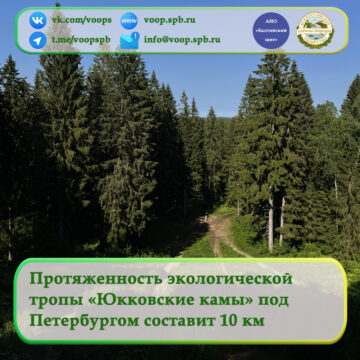 Протяженность экологической  тропы «Юкковские камы» под  Петербургом составит 10 км