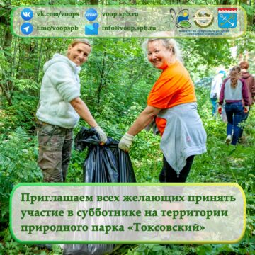 Приглашаем всех желающих принять участие в субботнике на территории природного парка «Токсовский»