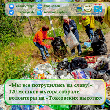 «Мы все потрудились на славу!»: 120 мешков мусора собрали волонтеры на «Токсовских высотах»