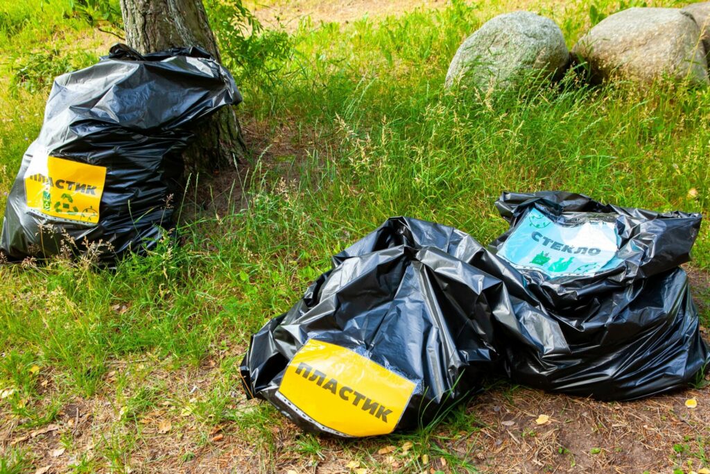Фильм «Волонтеры – за раздельный сбор»: на экоакции ВООП в заказнике «Лебяжий» впервые сортировали мусор