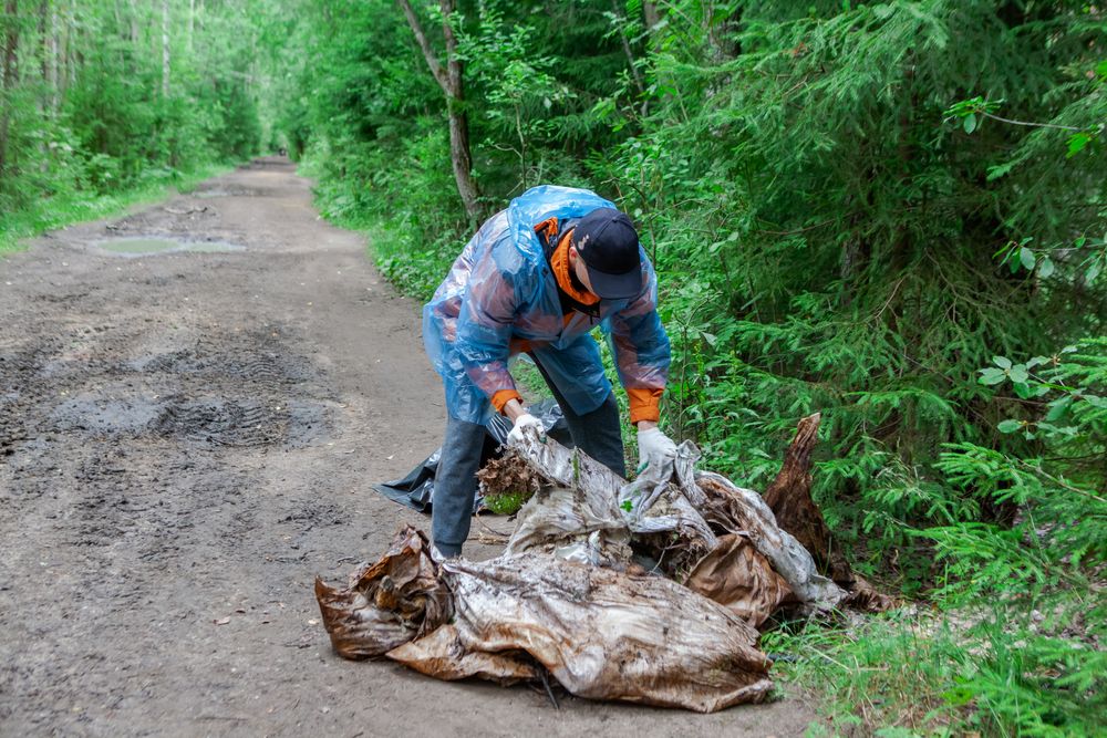 Активисты выкопали в природном парке «Токсовский» захороненный строительный мусор